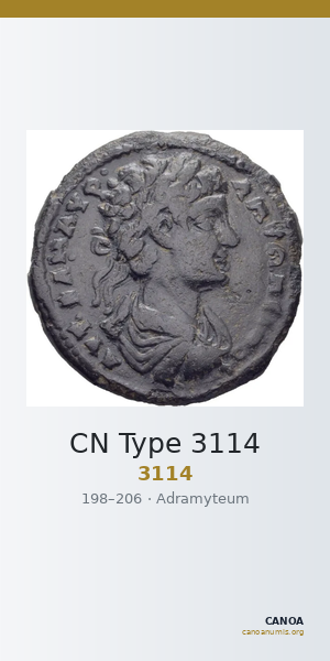 CN Type 3114 — CANOA