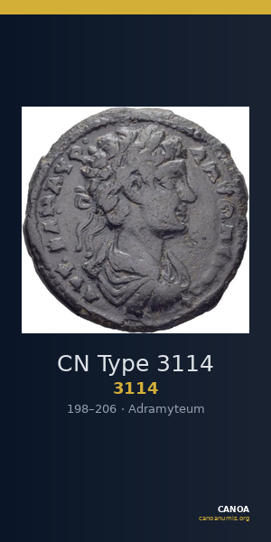CN Type 3114 — CANOA