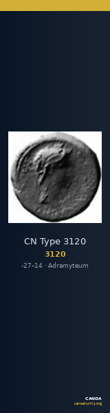 CN Type 3120 — CANOA