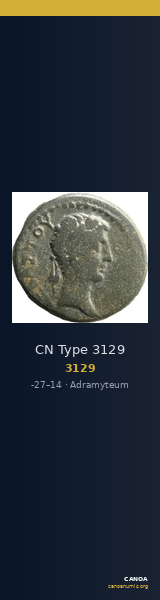 CN Type 3129 — CANOA