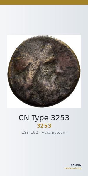 CN Type 3253 — CANOA