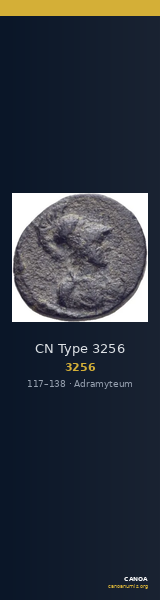 CN Type 3256 — CANOA
