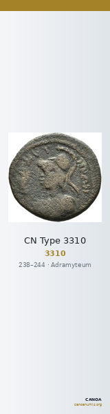 CN Type 3310 — CANOA