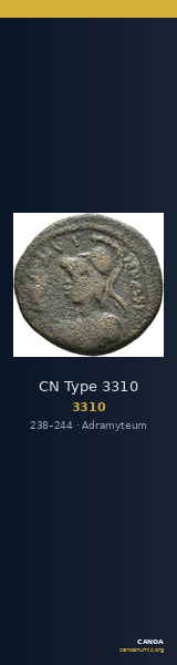 CN Type 3310 — CANOA