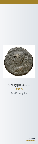 CN Type 3323 — CANOA
