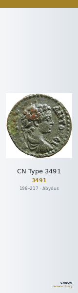 CN Type 3491 — CANOA