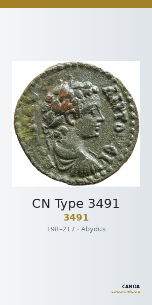 CN Type 3491 — CANOA