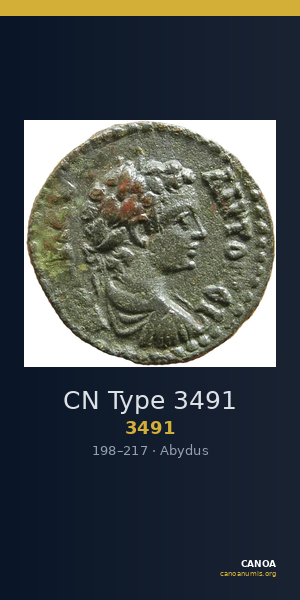 CN Type 3491 — CANOA