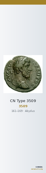 CN Type 3509 — CANOA