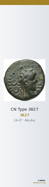 CN Type 3827 — CANOA