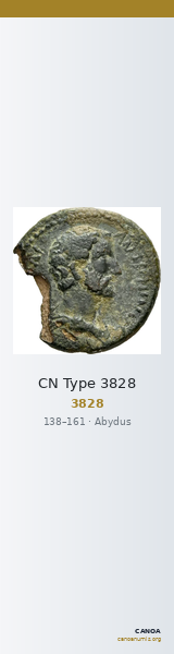CN Type 3828 — CANOA