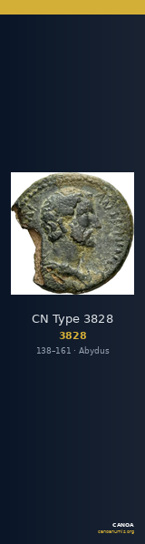 CN Type 3828 — CANOA
