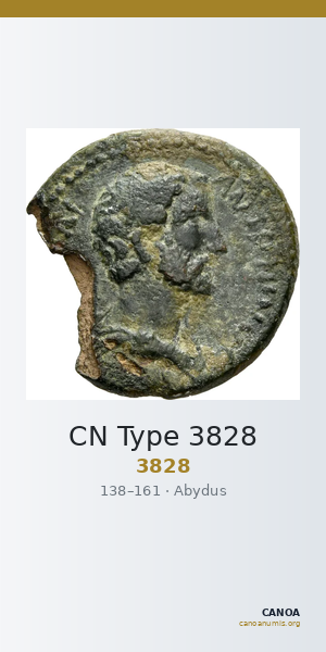 CN Type 3828 — CANOA