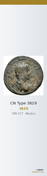 CN Type 3829 — CANOA