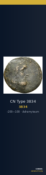 CN Type 3834 — CANOA