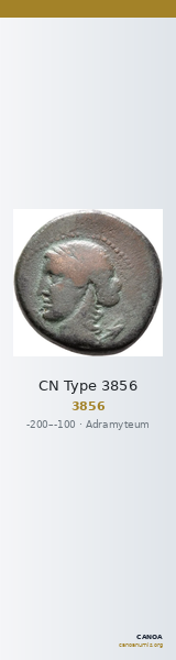 CN Type 3856 — CANOA
