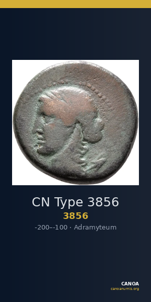 CN Type 3856 — CANOA