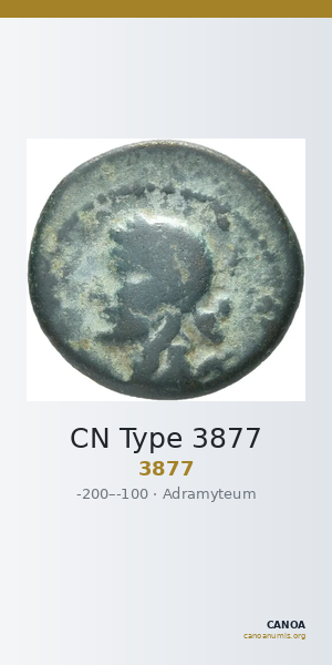 CN Type 3877 — CANOA