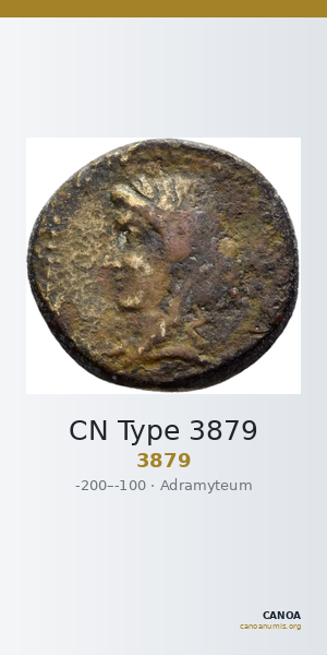CN Type 3879 — CANOA