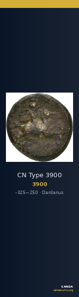 CN Type 3900 — CANOA