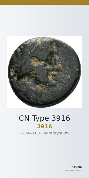 CN Type 3916 — CANOA