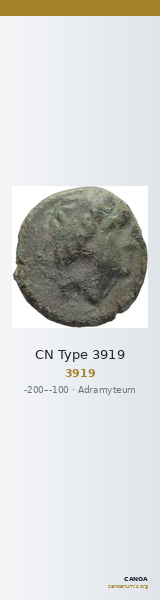 CN Type 3919 — CANOA