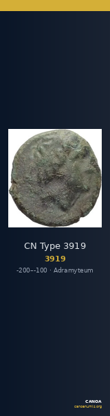 CN Type 3919 — CANOA