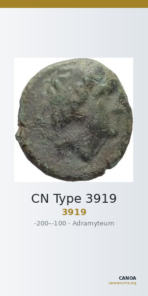 CN Type 3919 — CANOA