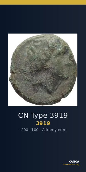 CN Type 3919 — CANOA