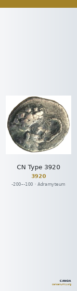 CN Type 3920 — CANOA