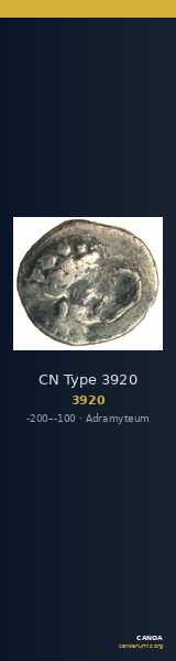CN Type 3920 — CANOA