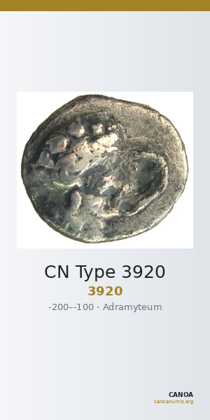 CN Type 3920 — CANOA