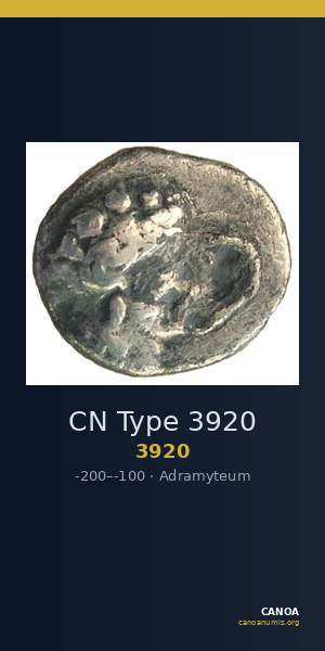 CN Type 3920 — CANOA