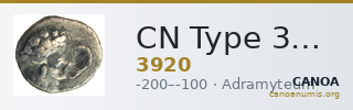 CN Type 3920 — CANOA