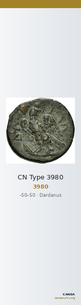 CN Type 3980 — CANOA
