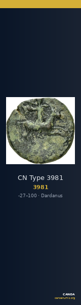 CN Type 3981 — CANOA