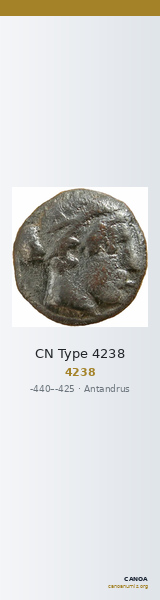 CN Type 4238 — CANOA