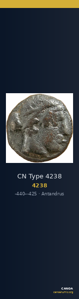 CN Type 4238 — CANOA