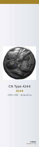 CN Type 4244 — CANOA