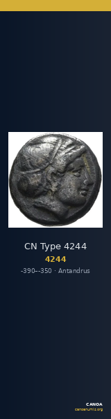 CN Type 4244 — CANOA