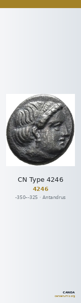 CN Type 4246 — CANOA