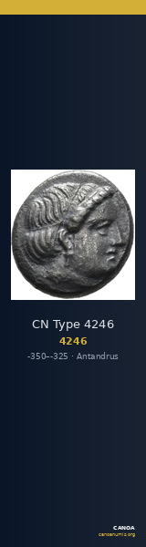 CN Type 4246 — CANOA