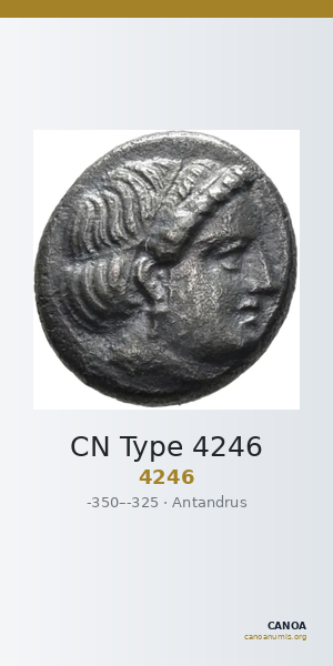 CN Type 4246 — CANOA