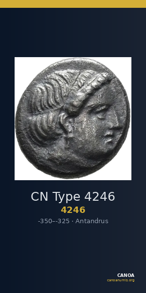 CN Type 4246 — CANOA