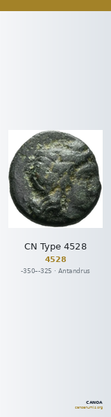 CN Type 4528 — CANOA