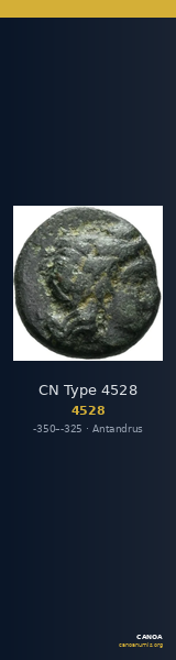 CN Type 4528 — CANOA