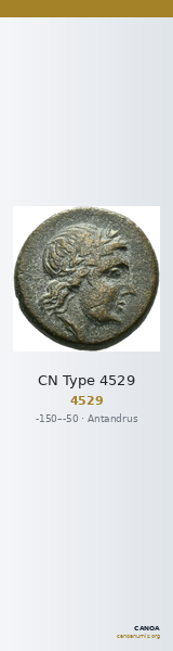 CN Type 4529 — CANOA