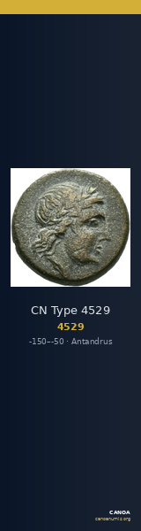 CN Type 4529 — CANOA