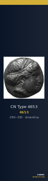 CN Type 4653 — CANOA