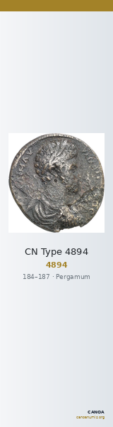 CN Type 4894 — CANOA